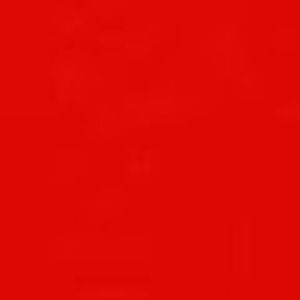 Meet your Posher, Natasha